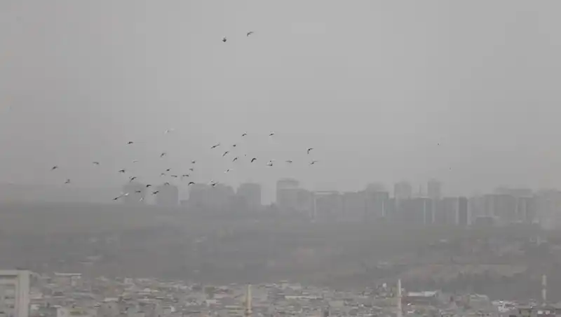 Şanlıurfa'da Kendinizi Kaybettiğiniz An: Toz Bulutu Şehri Kapsadı
