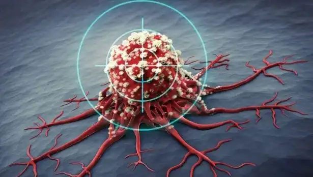 Prostat Kanseriyle Mücadelede Yenilik: 6 Besin Bilim İnsanları Tarafından Kanıtlandı