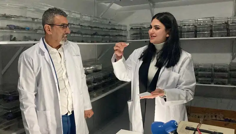 Akrep Zehirinin Şekerle Birleşimi: Cesur Yiyicilerin Tercihi