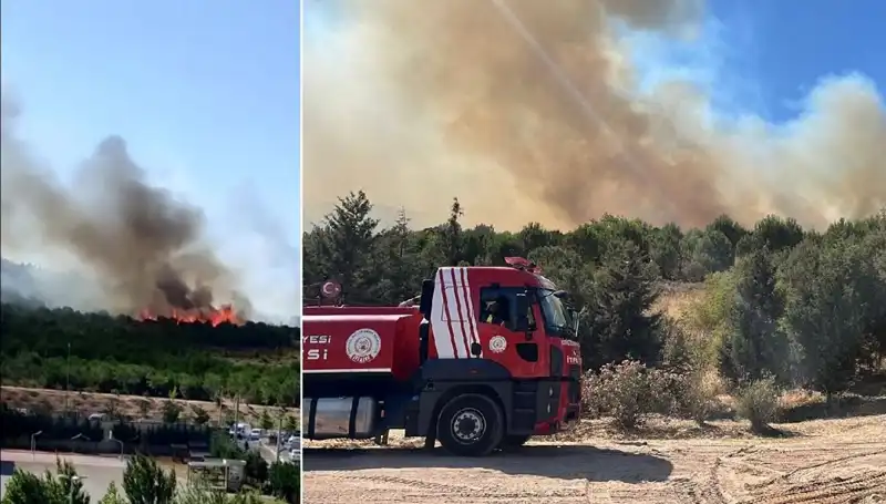 Gebze'de Orman Yangını: İtfaiye Ekipleri Seferber Oldu!
