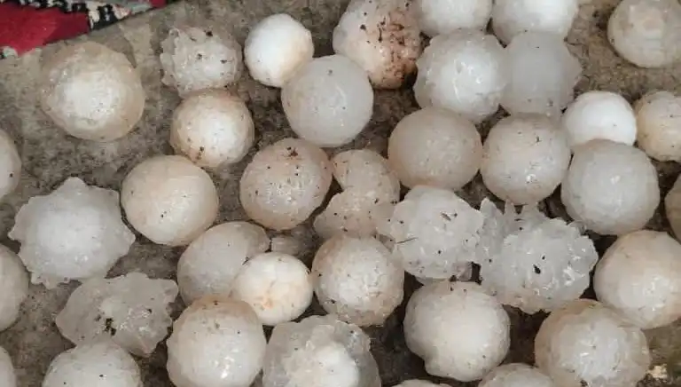 Şanlıurfa'da Kar Topu Büyüklüğünde Dolu Alarmı: Doğa İle Mücadele