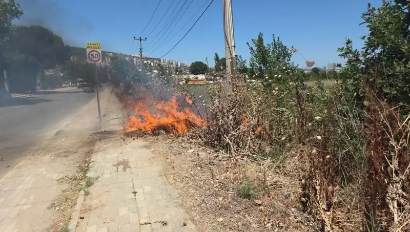 Bursa’da Otluk Alanda Çıkan Yangın, İtfaiye Ekiplerini Harekete Geçirdi