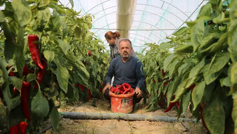 Yüzde 50 Zam Geldi: 50 TL Olan Ürün Artık 80 TL!