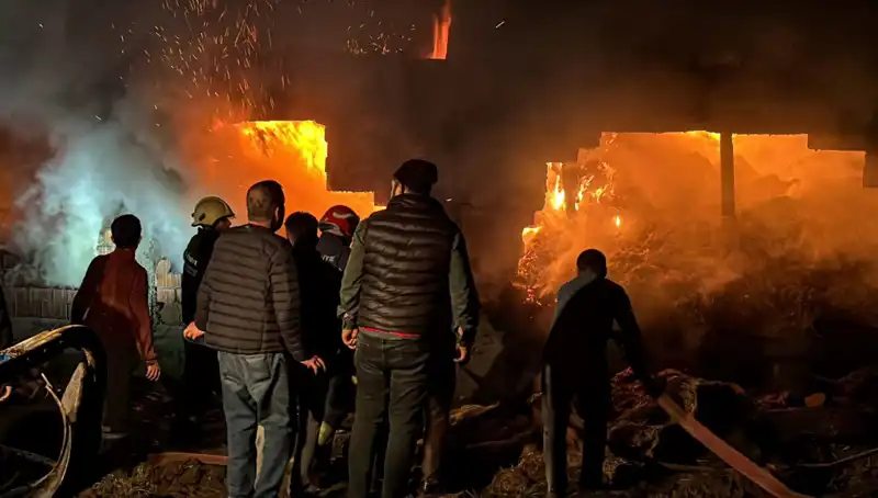 Bolu'da Şok Edici Ahır Yangını: Hayvanlar ve Mülk Zarar Gördü