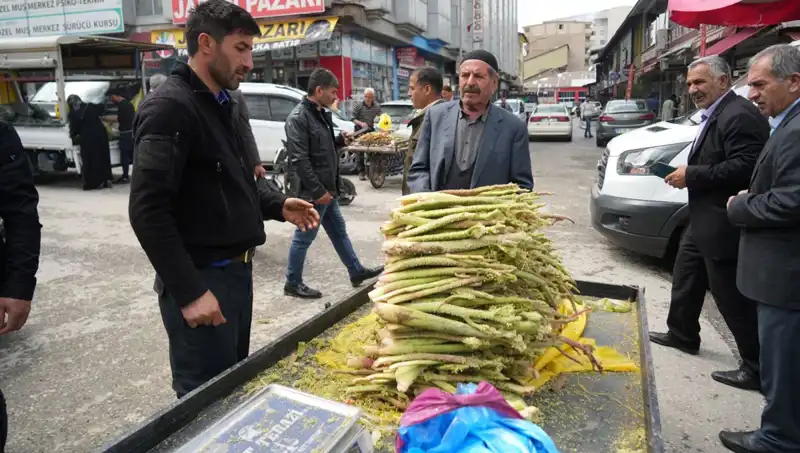Dağlık Alanda Toplanan Şekerin Faydaları: Kanser ve Mide Hastalıklarına Karşı Etkisi