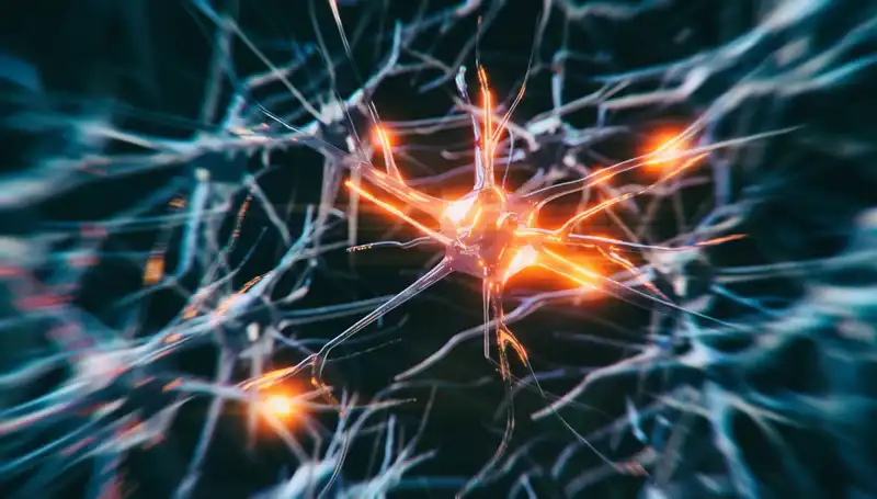 Alzheimer Vakalarında Alarm Zillerinin Çaldığı Dönem: Neden Bu Kadar Artıyor?