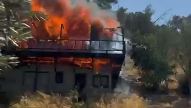 Bodrum'da Yangın Alarmı: Ekipler Hızla Seferber Oldu!