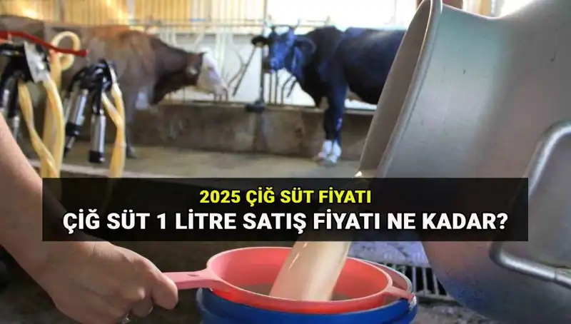 2025’te Çiğ Süt Fiyatları: Ulusal Süt Konseyi’nden Son Gelişmeler