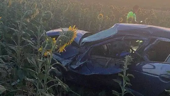 Otomobil Ayçiçeği Tarlasına Devrildi: Şok Eden Kaza Ayrıntıları