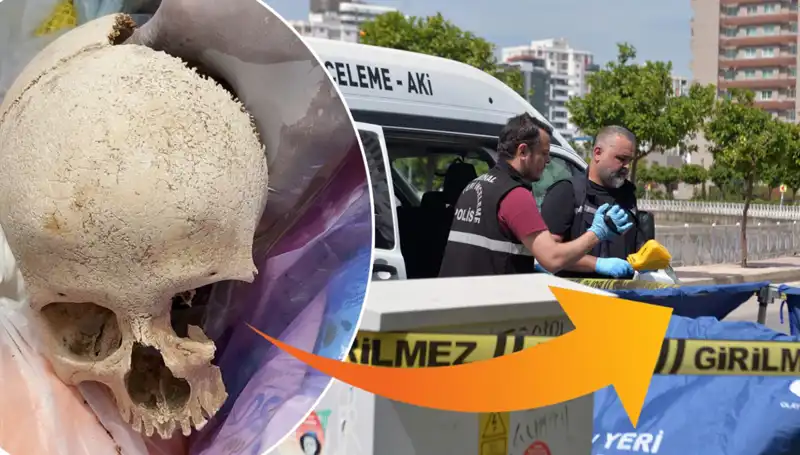 Çöp Alanında Bulunan Kafatasının Şaşırtan Sırrı Açığa Çıktı!