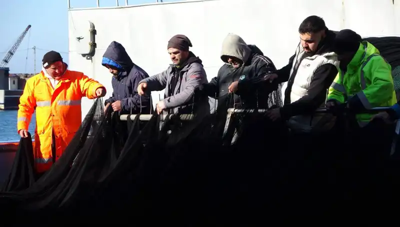 Hamsi Avında Şok Gelişme: Balıkçılar Tekneleri Erken İkinci Yarıya Kaldırmak Zorunda Kaldı!