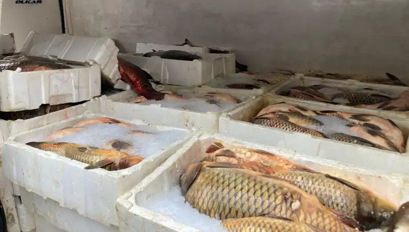 Kaçak Balık Avına Karşı Sıkı Denetim: Binlerce Lira Cezalar Geliyor