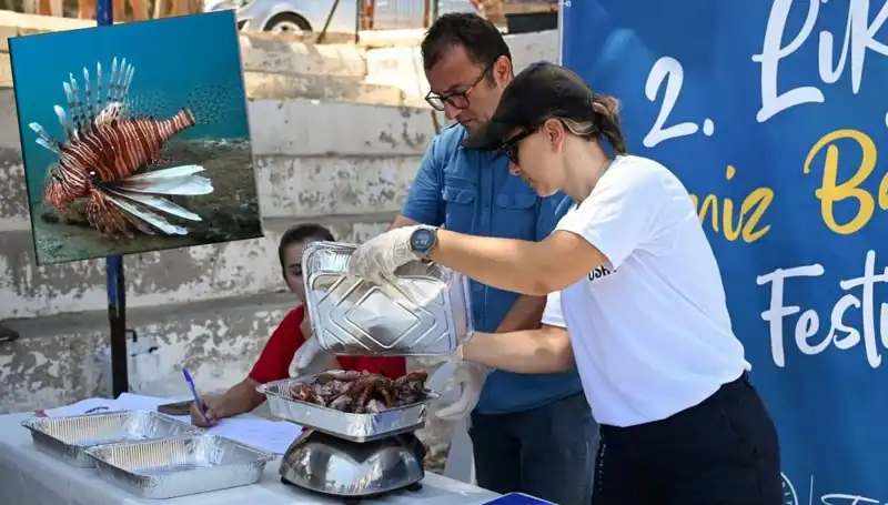 Antalya'da İstilacı Aslan Balığına Karşı Mücadele: Avlama Yarışması Düzenleniyor**