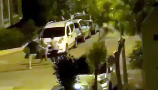Avcılar’da Yaşanan Şok Olayda Vatandaşları Saldırganlardan Kim Kurtardı?