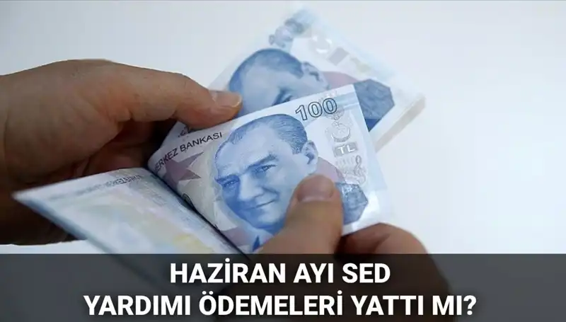 2025 Haziran SED Ödemeleri Sorgulama: Ödemeler Ne Zaman Yatacak?