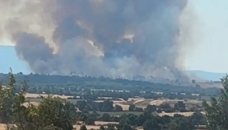 Edirne’yi Karanlığa Gömen Komşu Orman Yangını: Detaylar Ortaya Çıktı