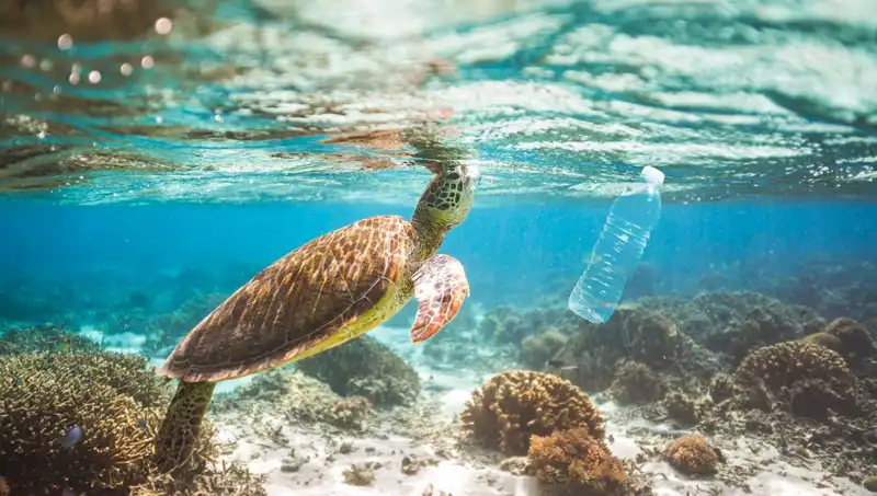 Okyanuslarımız 2030’da 602 Bin Ton Plastik Atıkla Karşı Karşıya!