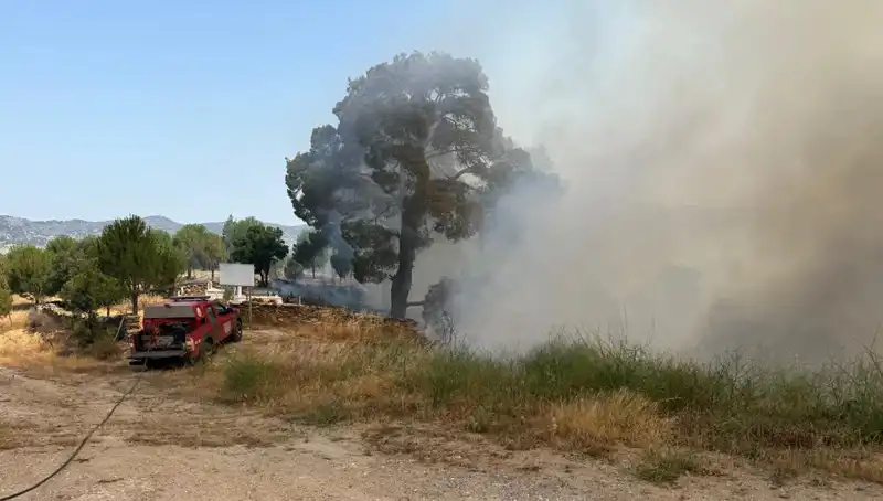 Muğla’da Yüreklere Sakan Orman Yangını: Ekipler Seferber Oldu