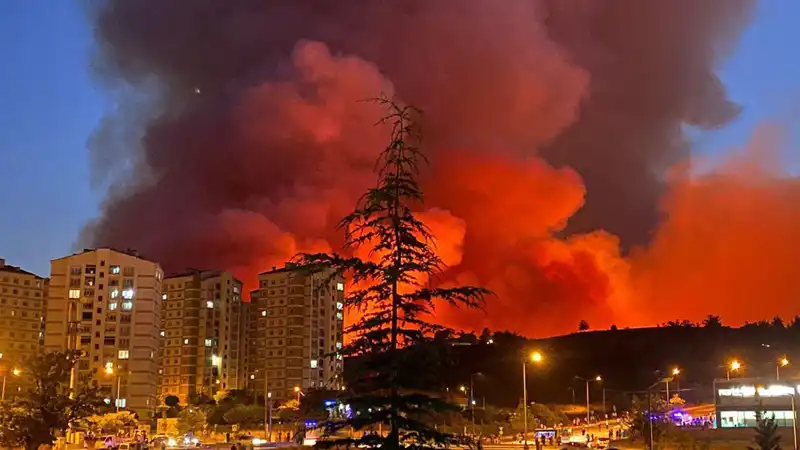 Bursa'da Yangınlar Sırasında Neler Yaşandı? Şehir Alarmda!