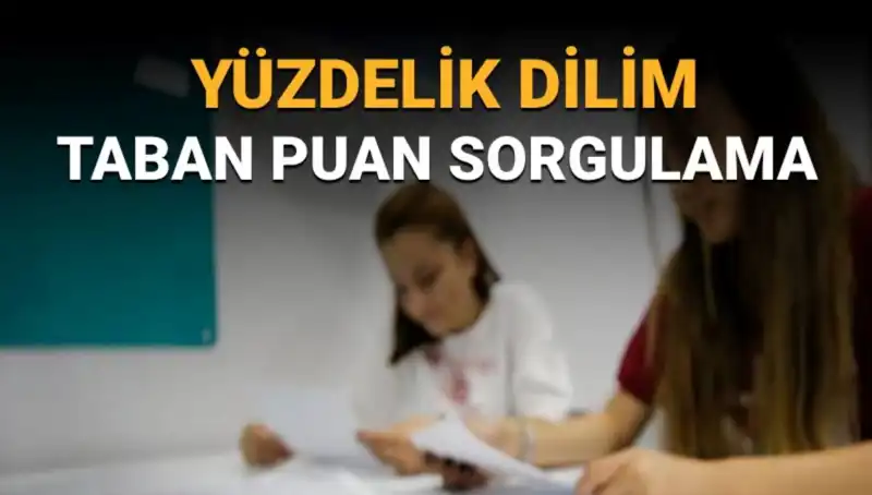 2025 LGS Taban Puanları ve Yüzdelik Dilim Sorgulama Nedir?