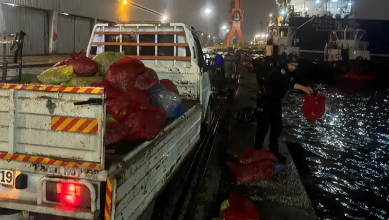 Kaçak Midyeler Çiftlikte Ele Geçirildi: Soruşturma Başlatıldı