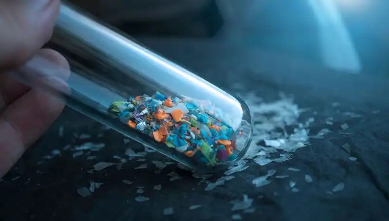Mikroplastiklerin İnsan Beynine Sızması: Sağlığımızı Tehdit Eden Gerçekler