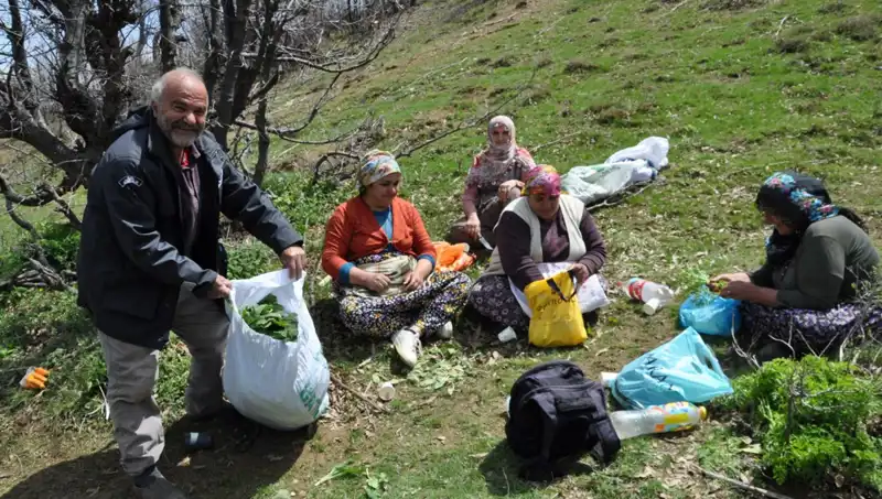 Yürüyerek Topladıkları Mantarlar, Geçim Kaynağı Oluyor: Büyük İhtiyaç!