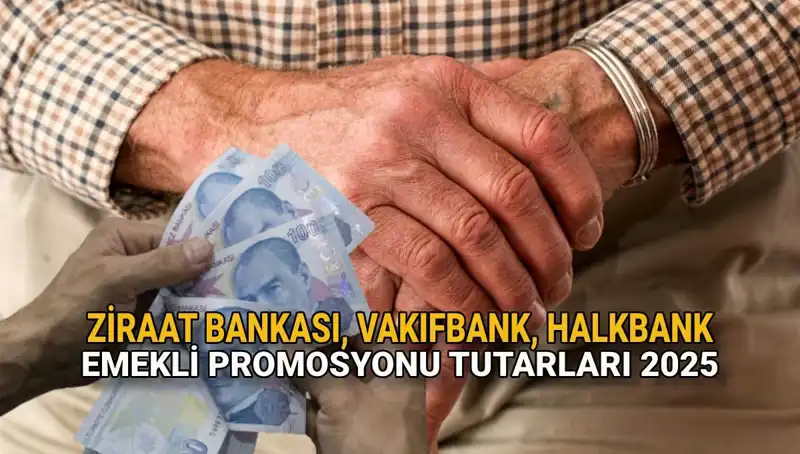 2025 yılında Emekli Banka Promosyonu: Ziraat, Vakıfbank ve Halkbank'ın Sunacakları Neler?