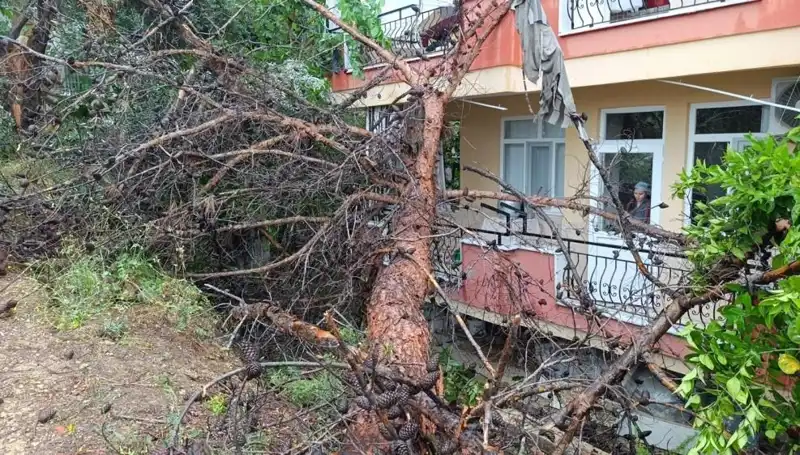 Yağmur Sonrası Fırtına: Bina Çöktü, Sokaklar Korku Dolu!