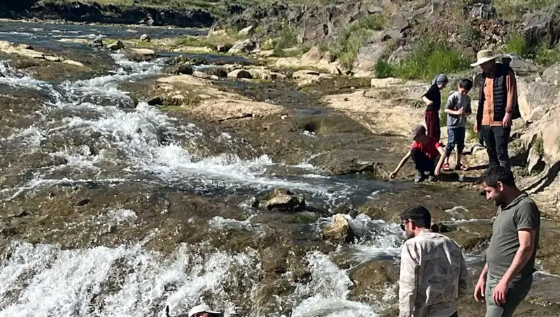İnci Kefalinin Büyüleyici Göçü: Doğanın Muazzam Gösterisi