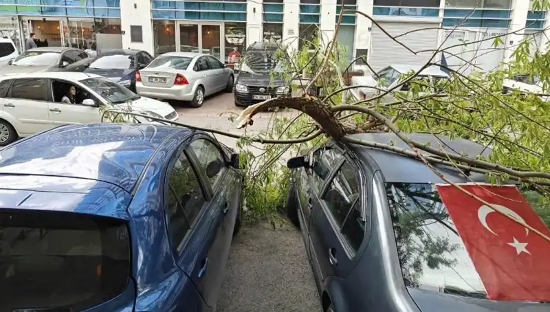 Kayseri’de Fırtına: Ağaçlar Kırıldı, Zarar Büyüdü