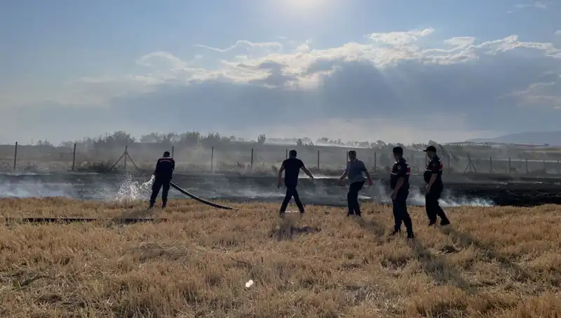 Merzifon'da Korkutan Yangın: Tarım Arazileri Küller İçinde Kaldı