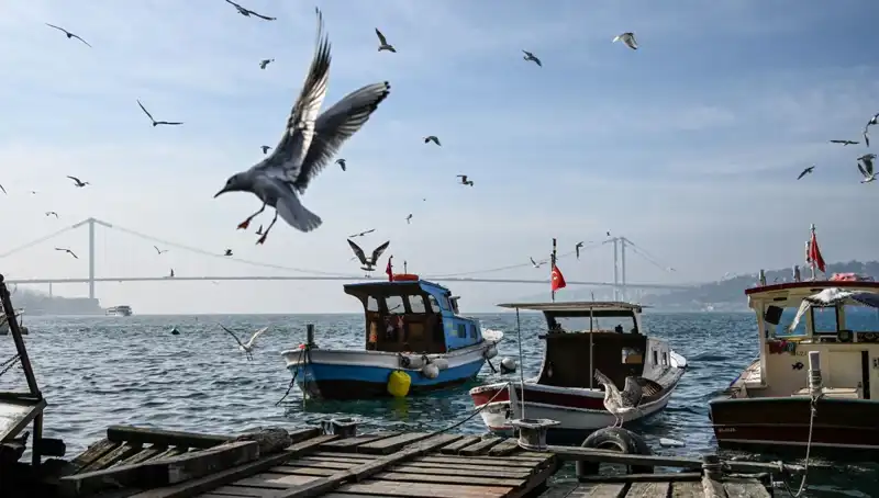 İstanbul’da Bahar Havası Geldi! Hava Durumu Tarihi ve Detayları