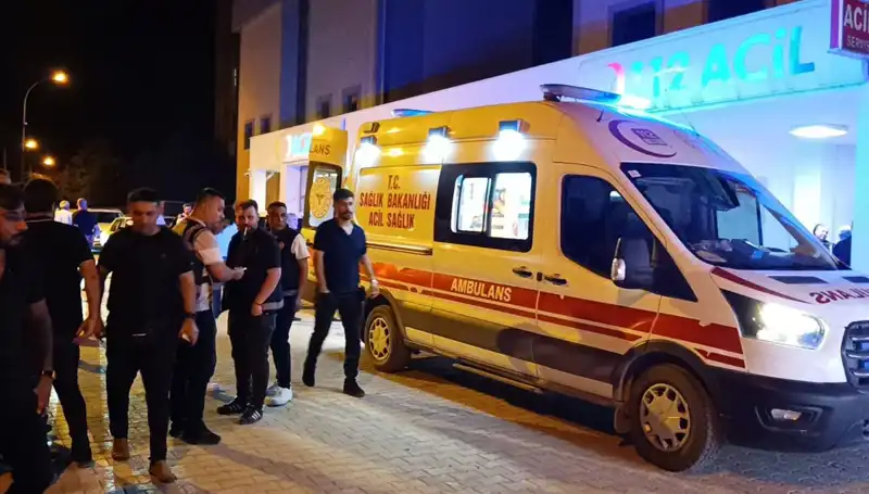 Kardeş Kavgasına Müdahale Eden Genç Adam Hayatını Kaybetti!