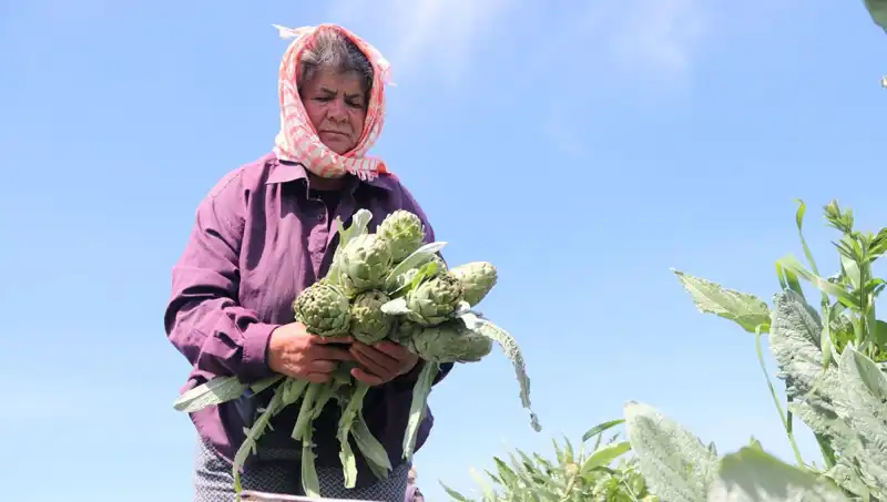 Tarladan Sofralara: Efsane Fiyatlarla Gıda Ürünleri Tezgahlarda!