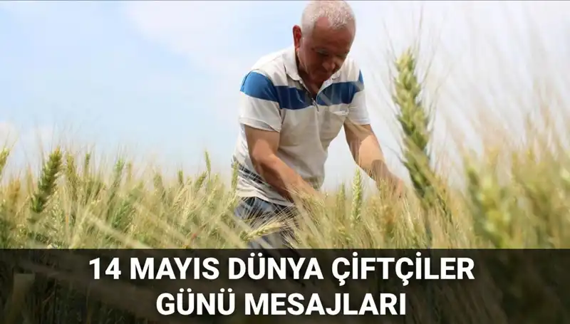 14 Mayıs Dünya Çiftçiler Günü: Çiftçilere Özel Anlam Dolu Mesajlar