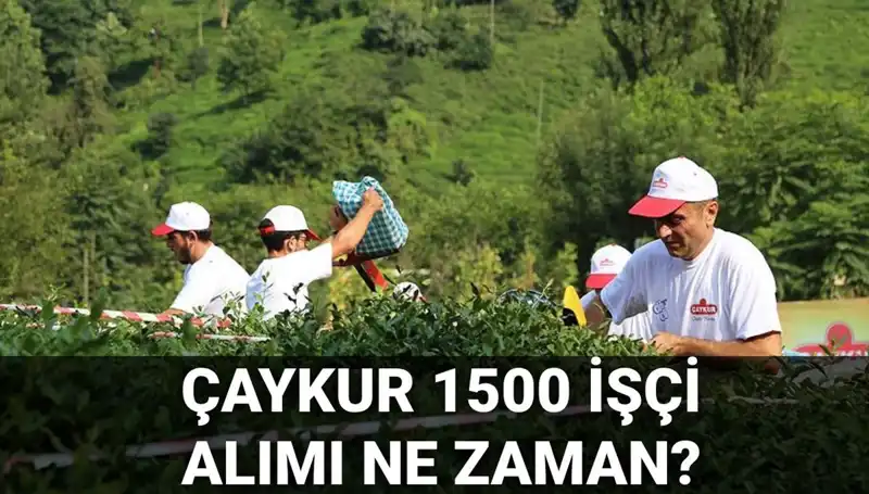 Çaykur İşçi Alımı Başvuru Tarihleri: Merakla Beklenen Detaylar Açıklandı!