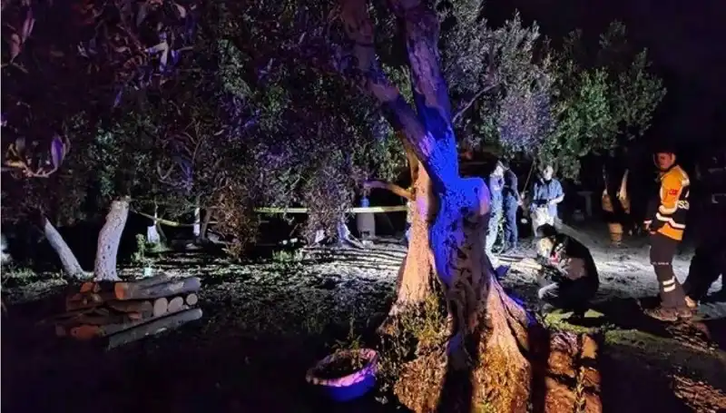 Çiftlikteki Baltalı Vahşet: Olayın Ardında Yatan Gerçekler ve Tutuklama Süreci