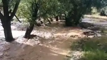Mersin'de Etkili Sağanak Yağış, Şehrin Bazı Bölgelerini Sular Altında Bıraktı