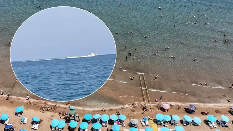 Plajda Köpek Balığı Panik Havası: Güvenlik Güçleri Harekete Geçti