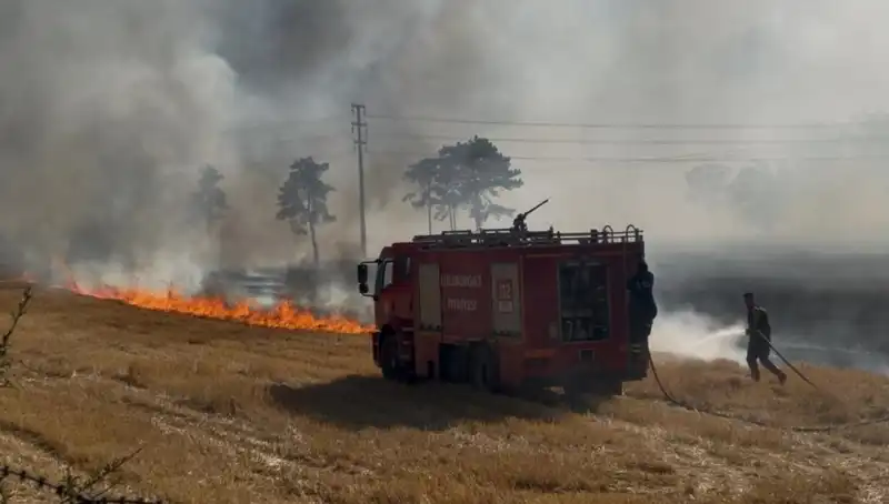 Kırklareli’nde Anız Yangını: Tarım Alanları Tehlike Altında!
