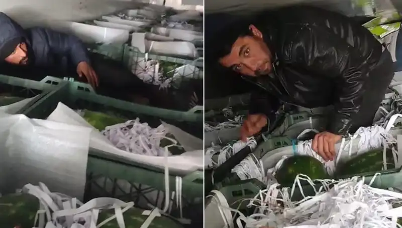 Karpuzların Arasından Göçmenler Çıktı: Şok Edici Olay İhbar Edildi!