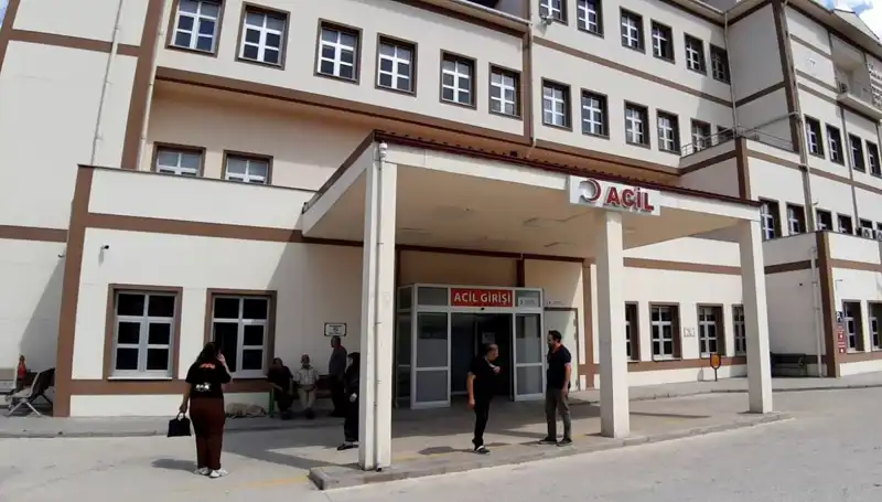 Bolu’da Ayı Avı Kararı: Tartışmalar ve Protestolar Sürüyor