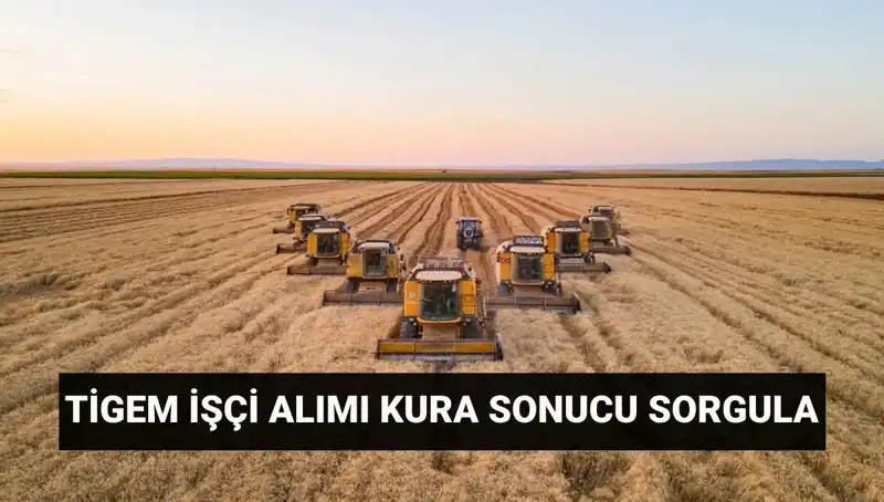 TİGEM 306 İşçi Alımı Kura Sonuçları Açıklandı: İşte İsim Listesi ve Mülakat Tarihleri!