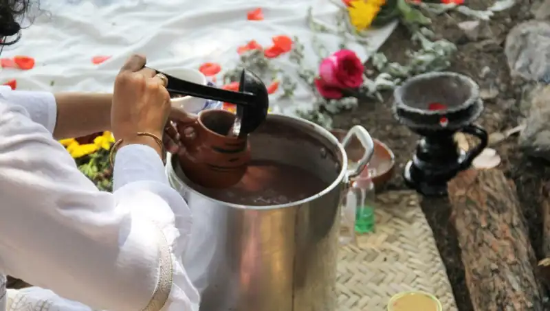Ayahuasca: Şamanik Çayın Yasaklı Dünyasında Yolculuk