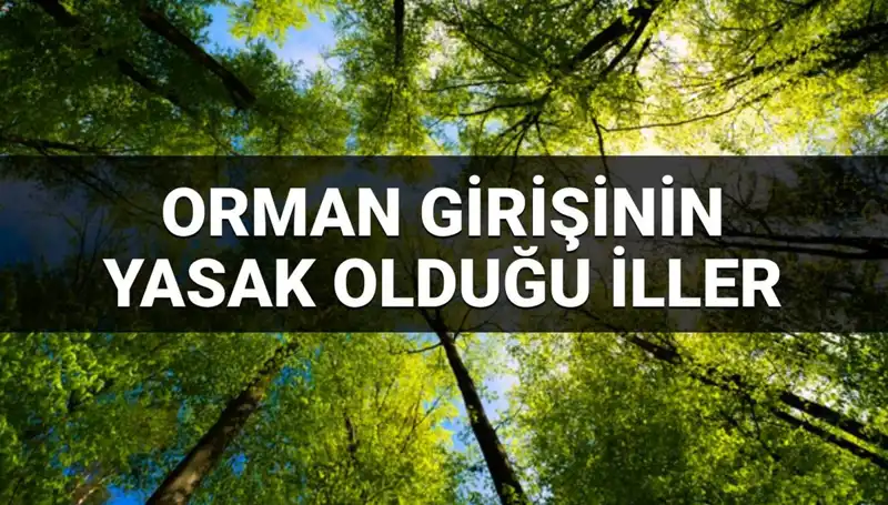 Orman Girişine Yasaklanan İller: 2025 İçin Belirlenen Yasaklar