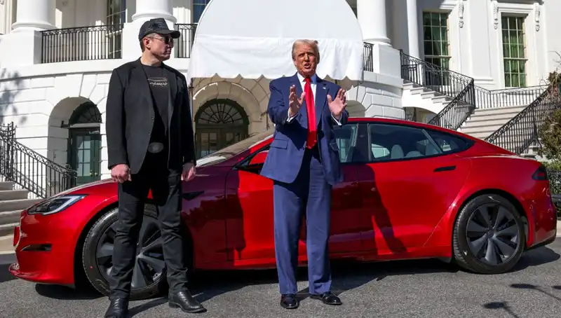 Tesla Sahiplerine Yönelik Şok Ceza: Dokunana 20 Yıl Hapis Riski
