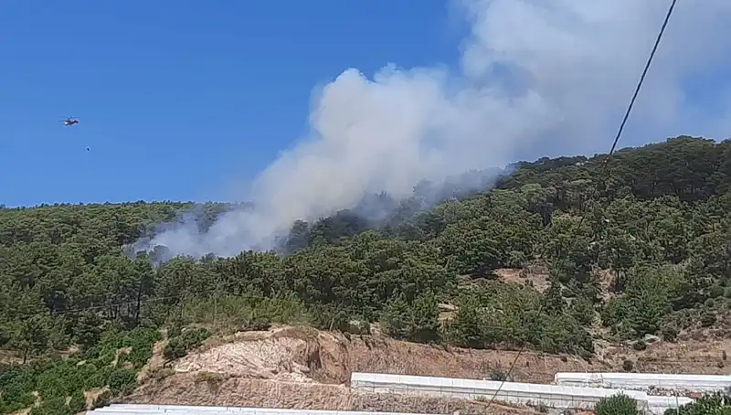 Kumluca'da Orman Yangını: Doğanın Kendine Geldiği Mücadele