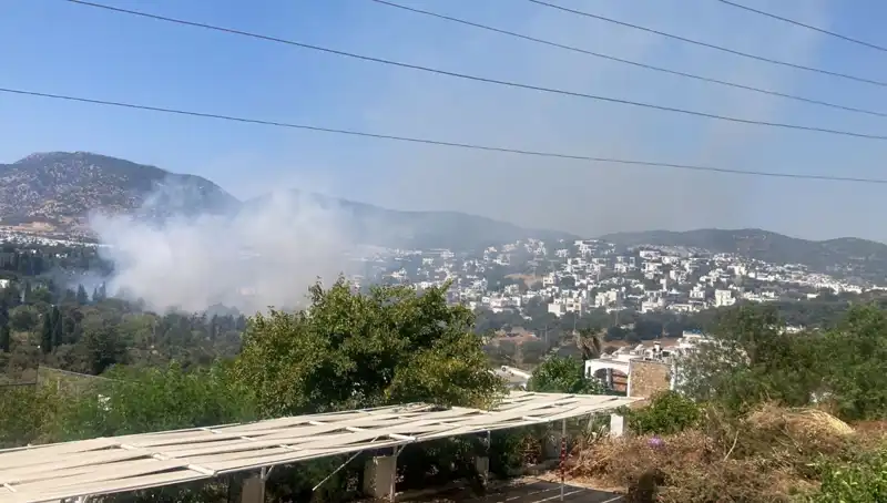 Muğla Orman Yangınları Kontrol Altına Alındı: Bu Süreçte Neler Yaşandı?