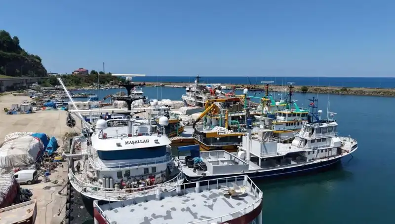 Karadeniz'de 1 Eylül Geri Sayımı: Bu Yıl Neler Olacak?